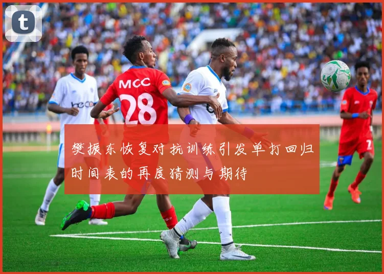 樊振东恢复对抗训练引发单打回归时间表的再度猜测与期待