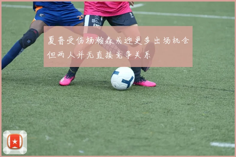 夏普受伤杨瀚森或迎更多出场机会但两人并无直接竞争关系